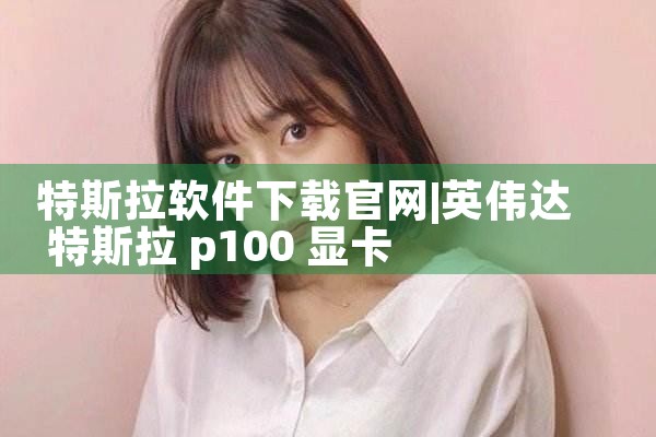 特斯拉软件下载官网