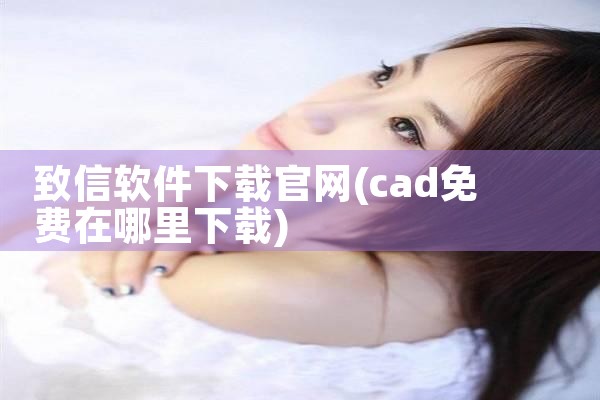 致信软件下载官网