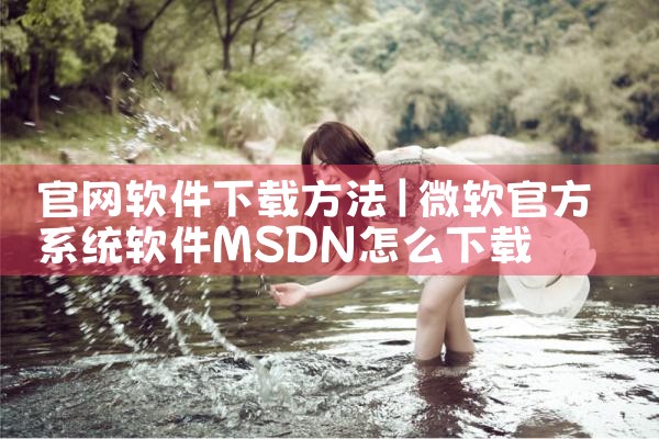 官网软件下载方法