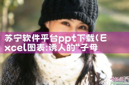 苏宁软件平台ppt下载