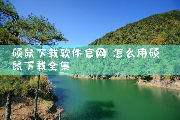 好用的平台排名软件下载