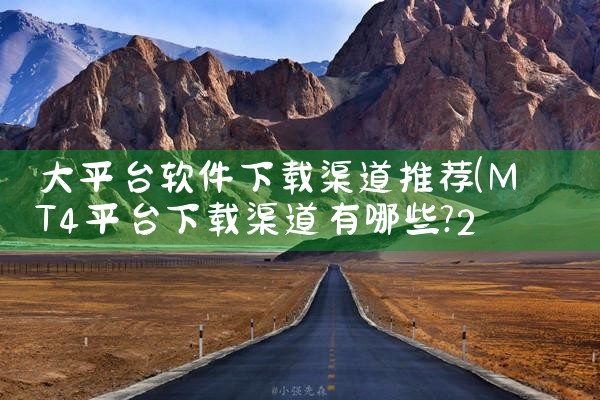 大平台软件下载渠道推荐