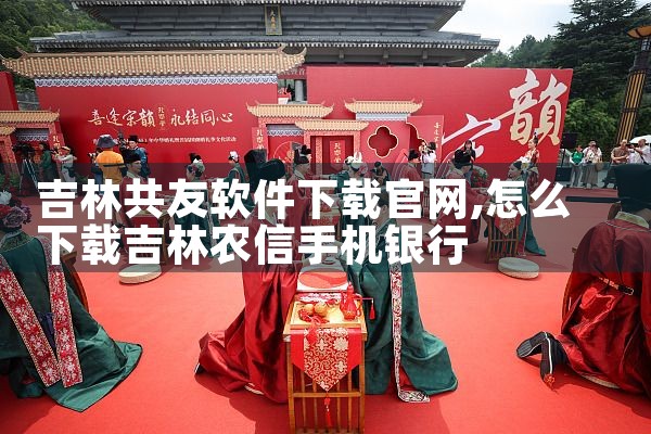 吉林共友软件下载官网