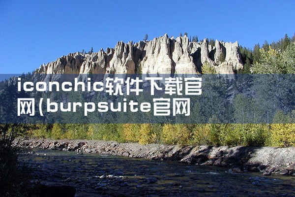 iconchic软件下载官网