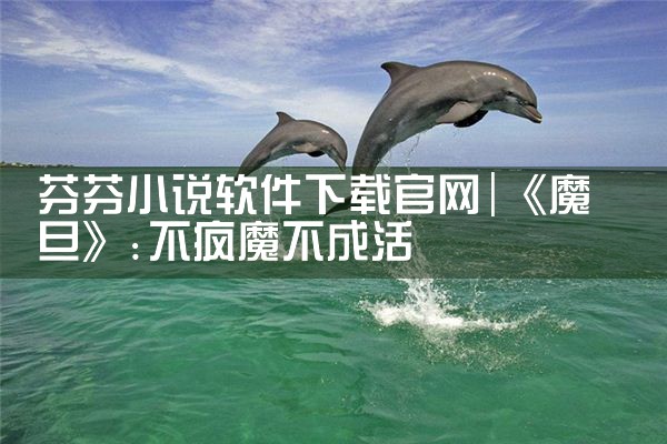 芬芬小说软件下载官网