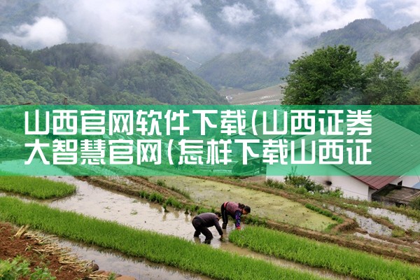 山西官网软件下载